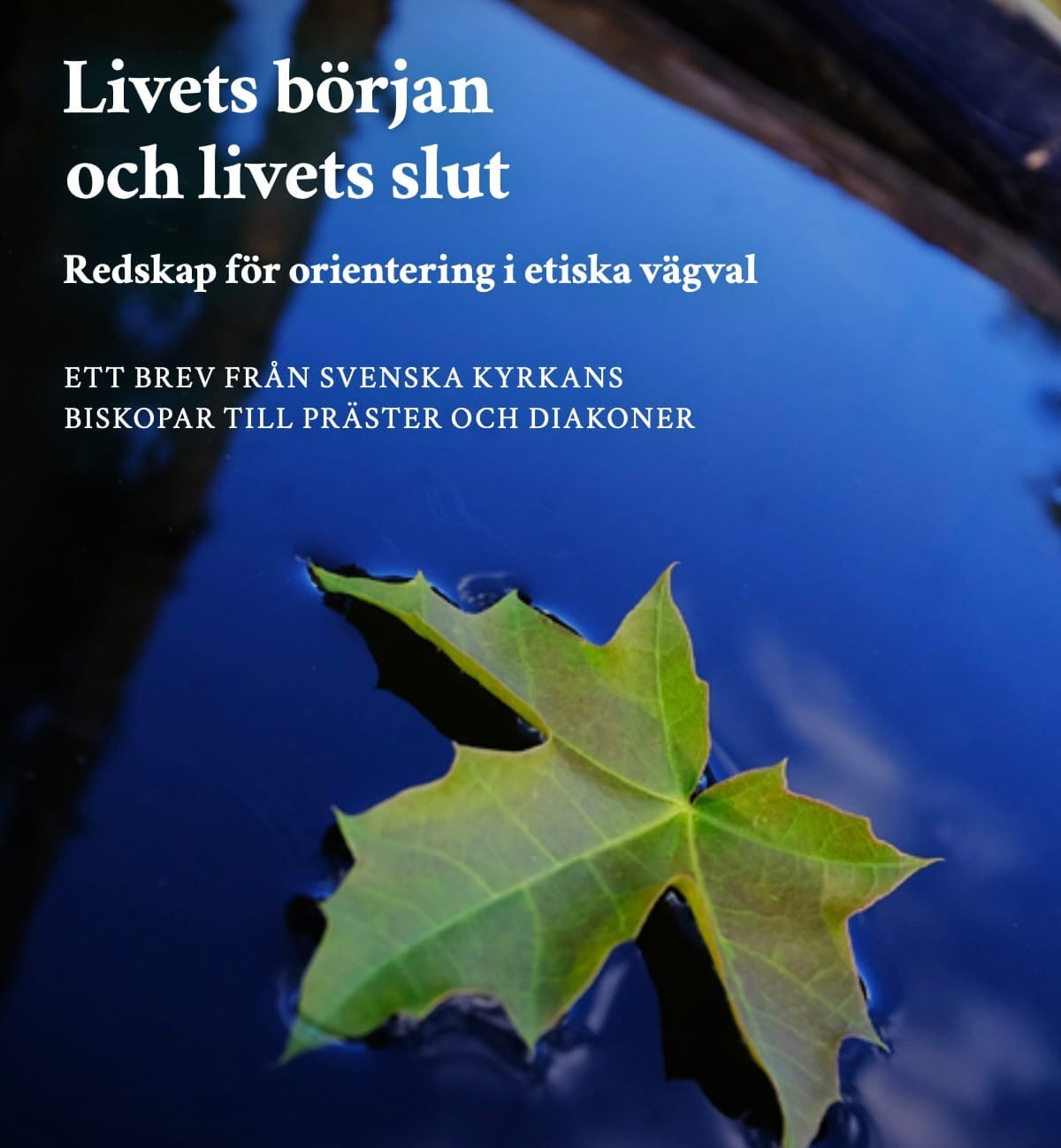 Om Livets Början Och Livets Slut – Ett Biskopsbrev