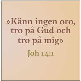 Fjärde söndagen i Påsktiden (Jubilate)