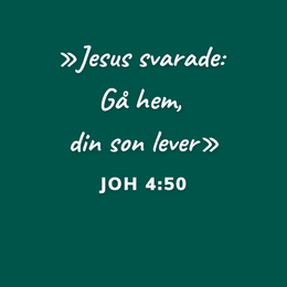 Tredje söndagen efter Trettondedagen