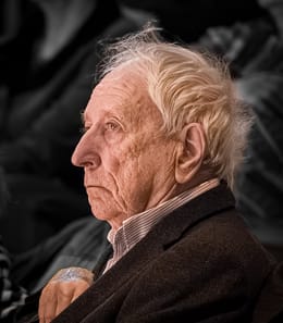 Det roder som styr flyttfågelsflocken