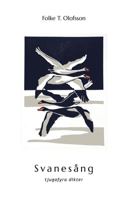 Verklighet och mening