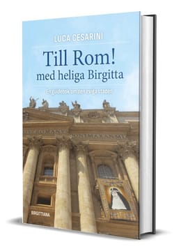 Romguide med Birgittaperspektiv
