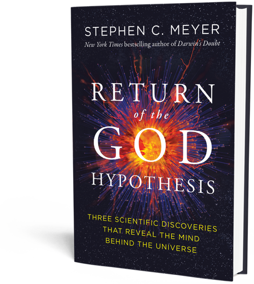 Gud – mer än en hypotes