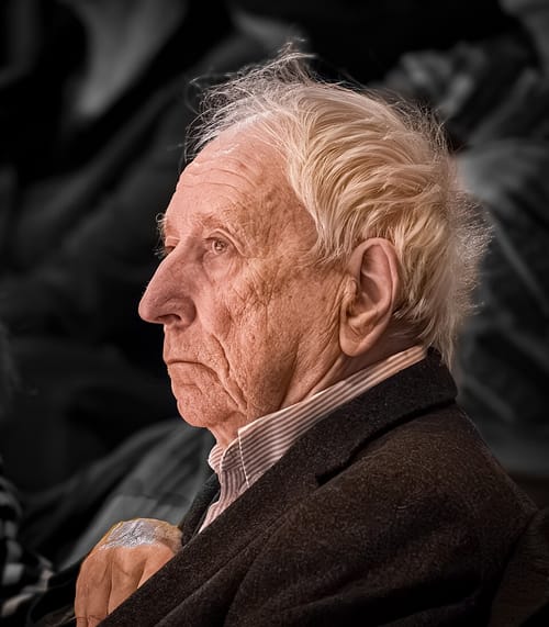 Det roder som styr flyttfågelsflocken